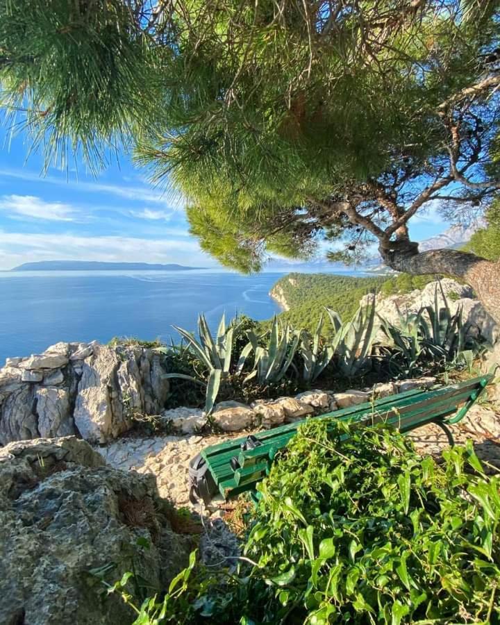APARTMAN LAURA GALILEO Centar grada Makarska Exterior foto