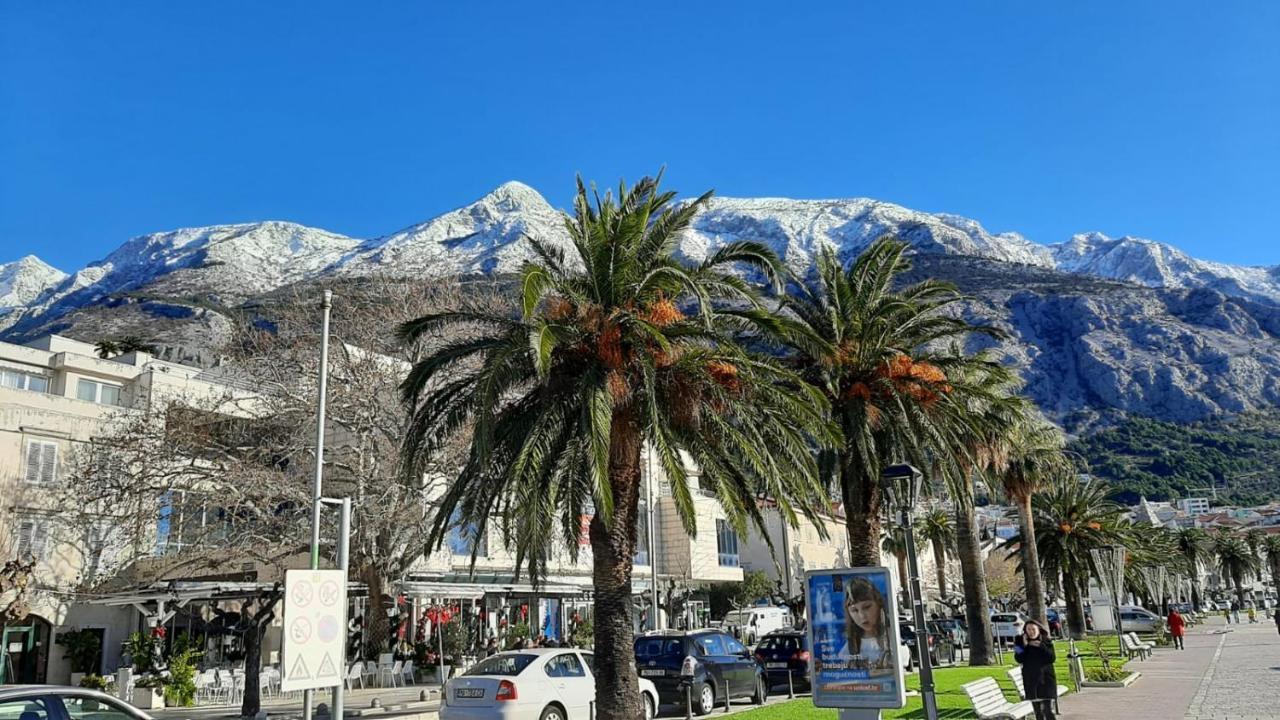 APARTMAN LAURA GALILEO Centar grada Makarska Exterior foto